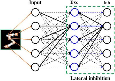 Neural Coding in Spiking Neural Networks: A Comparative Study for Robust Neuromorphic Systems